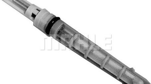 Injectoare, supapa expansiune AUDI A6 C6 (4F2