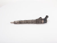 Injector 0 445 110 248 BOSCH pentru CitroEn Jumper CitroEn Relay Peugeot Boxer Peugeot Manager Iveco Massif Iveco Daily