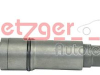 Injector 0870035 METZGER pentru Bmw Seria 3 Bmw Seria 5 Bmw X5