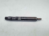Injector, 166000897R, H8200827965, Renault Clio 3, 1.5 dci