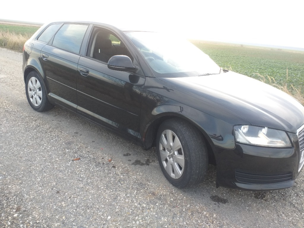 Injector Audi A3 8P 2010 hatchback 1.9 T