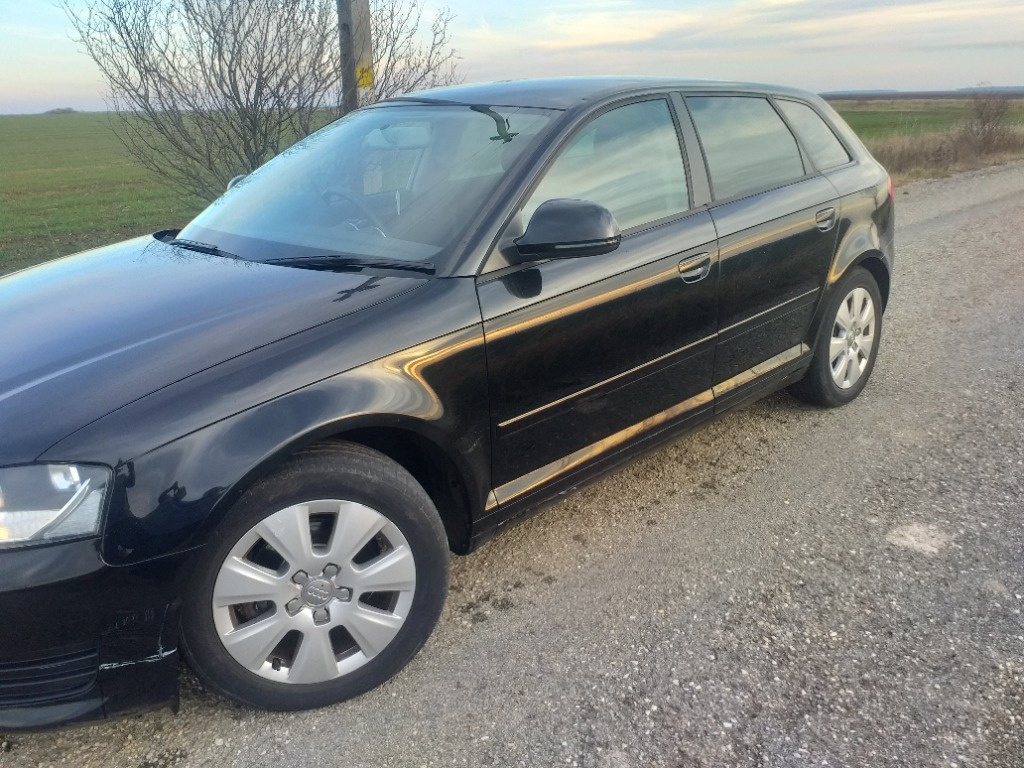 Injector Audi A3 8P 2010 hatchback 1.9 T