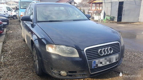 Injector Audi A4 B7 2007 break 2.5 TDi