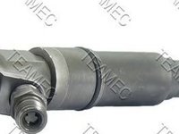 Injector, BMW 3 cupe (E46) an 2003-2006, producator TEAMEC 810104