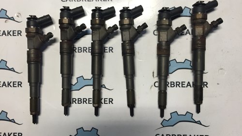 Injector BMW Seria 530D e 60