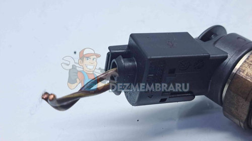 Injector Bmw X3 (E83) [Fabr 2003-2009] 7793836 2.0 M47 110KW 150CP