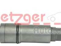 Injector BMW X5 (E53) (2000 - 2006) METZGER 0870035