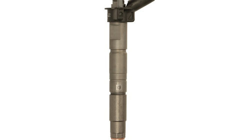 Injector BMW X5 (E70) (2007 - 2013) BOSCH 0 4