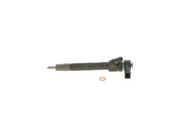 Injector BOSCH 0 445 110 176