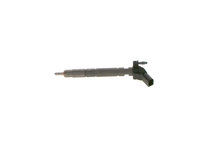 Injector BOSCH 0 445 117 028