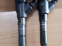 Injector BOSCH Citroen C5 cod 0445110076