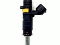 Injector CITROEN C3 Picasso MEAT & DORIA 75117804 PieseDeTop