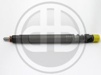 Injector Citroen C8 (EA_, EB_), PEUGEOT 407 limuzina (6D_), PEUGEOT 407 cupe (6C_) - BUCHLI X-R00101DP