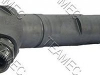 Injector, CITROEN XSARA PICASSO (N68) an 2004 - prezent , producator TEAMEC 810110