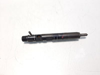 Injector, cod 8200365186, EJBRO1801A, Renault Kangoo 1 Express, 1.5 DCI, K9K702 (idi:572649)