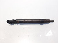 Injector, cod 9686191080, EMBR00101D, Fiat Scudo Platforma (270), 2.0 M-jet, RH02 (idi:609621)