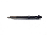 Injector, cod 9686191080, EMBR00101D, Peugeot 3008, 2.0 HDI, RHD (idi:529998)