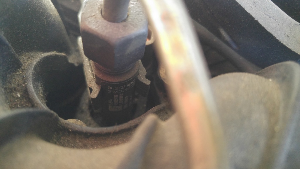 Injector delphi 8hy citroen c3 1.4 hdi 9