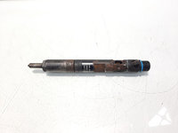 Injector Delphi, cod 8200240244, EJBR02101Z, Renault Clio 2 Coupe, 1.5 DCI, K9K (id:555025)