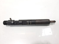 Injector Delphi, cod 8200815416, EJBR05102D, Dacia Logan (LS), 1.5 DCI, K9K792 (id:453946)