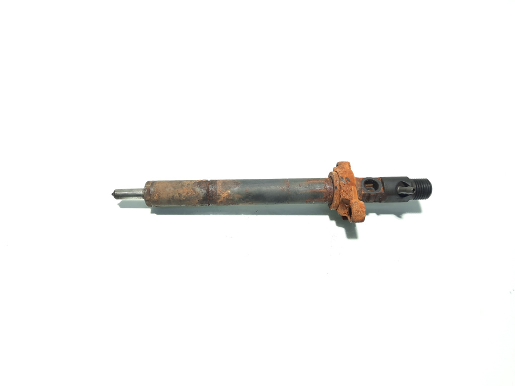 Injector Delphi, cod 9656389980, EJBR03801D, Citroen C5 (III) Break, 2.0 HDi, RHR (idi:573205)