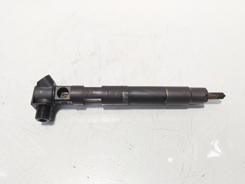 Injector Delphi, cod A6510700587, Mercedes Clasa E (W212) 2.2 CDI, OM651924 (id:638972)
