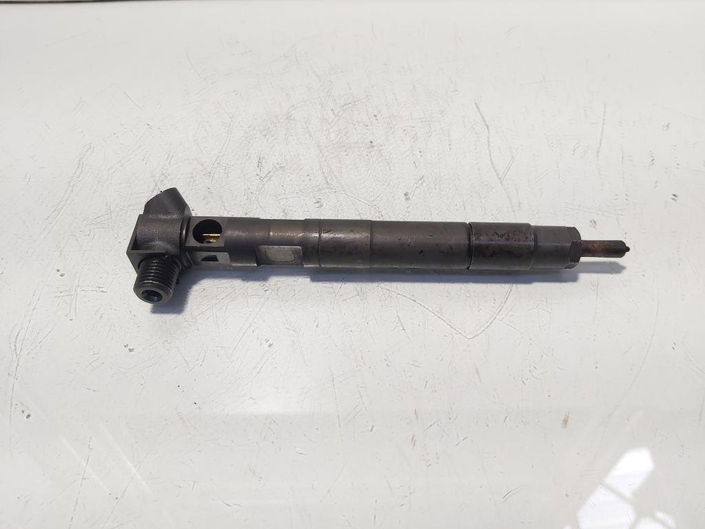 Injector Delphi, cod A6510702887, Mercedes Clasa E (W212) 2.2 CDI, OM651924 (id:685095)