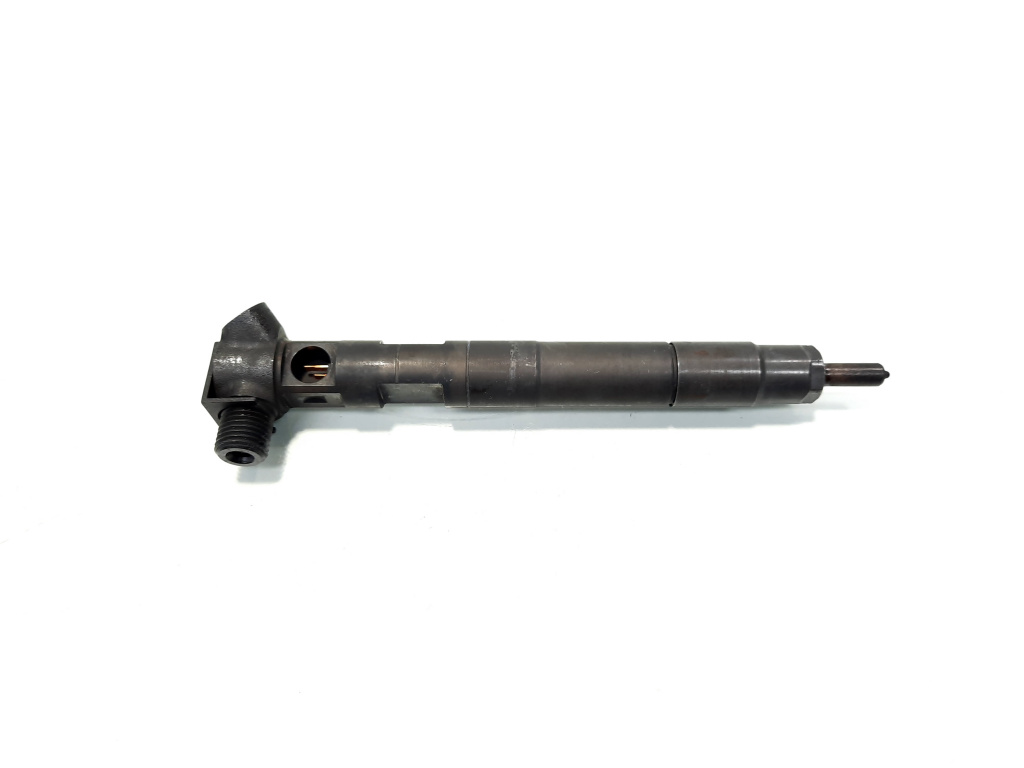 Injector Delphi, cod A6510702887, Mercedes Clasa E (W212) 2.2 CDI, OM651924 (id:542189)