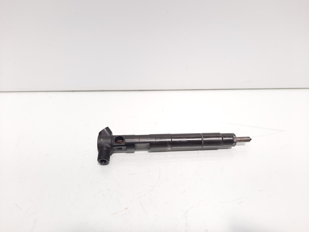 Injector Delphi, cod A6510702887, Mercedes CLS (C218), 2.2 CDI, OM651924 (idi:600325)