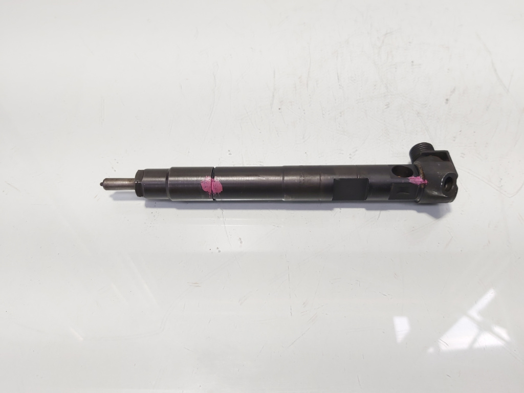 Injector Delphi, cod A6510704987, Mercedes CLS (C218), 2.2 CDI, OM651924 (idi:683925)