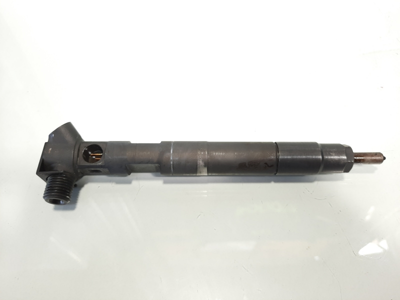 Injector Delphi, cod A6510704987, Mercedes CLS (C218), 2.2 CDI, OM651924 (idi:484660)