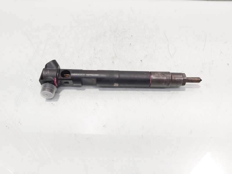 Injector Delphi, cod A65110700587, Mercedes Clasa E (W212) 2.2 CDI, OM651924 (id:672752)