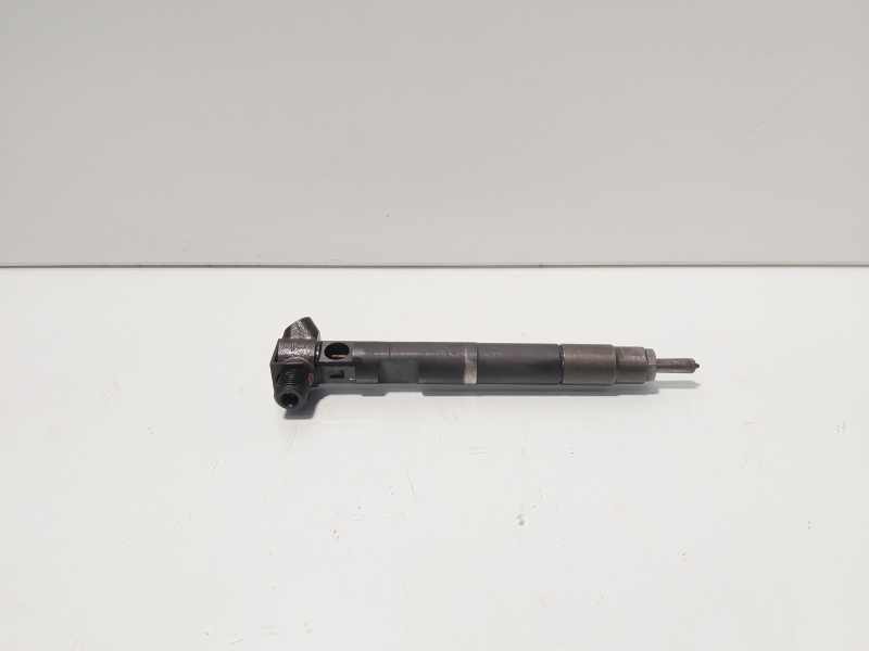 Injector Delphi, cod A65110700587, Mercedes Clasa 