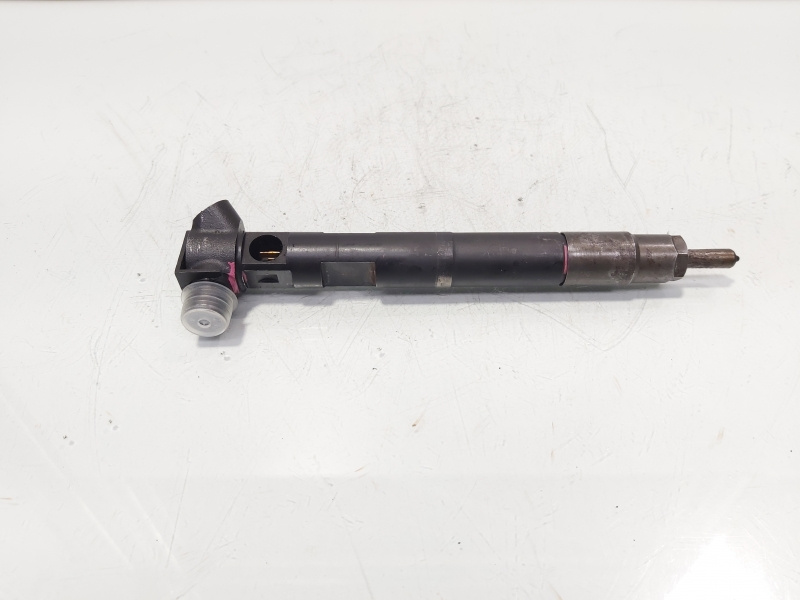Injector Delphi, cod A65110700587, Mercedes Clasa E (W212) 2.2 CDI, OM651924 (id:672753)