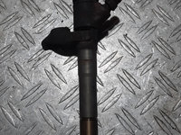 Injector Fiat Ducato 2.3 Multijet euro 5 0445110418