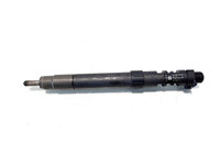 Injector/Injectoare cod 9686191080, EMBR00101D, Peugeot, 2.0 HDI, RHD