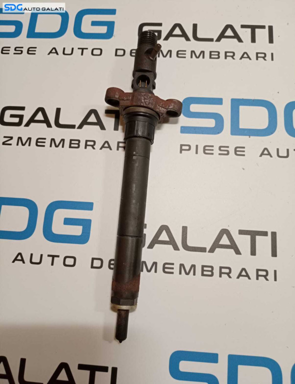 Injector Injectoare DELPHI Citroen C5 2.