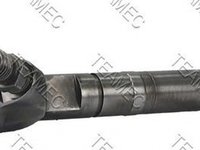 Injector, MERCEDES-BENZ SPRINTER 3-t platou / sasiu (903) an 2002-2006, producator TEAMEC 810085