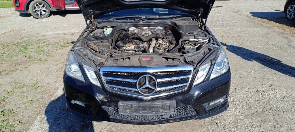 Injector Mercedes E-Class W212 2010 comb