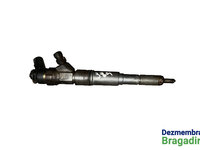 Injector motorina BMW X5 E53 [facelift] [2003 - 2006] Crossover 3.0 d AT (218 hp) X5 SE D