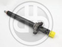 Injector PEUGEOT 307 (3A/C), PEUGEOT 307 SW (3H), PEUGEOT 307 CC (3B) - BUCHLI X-R06001D