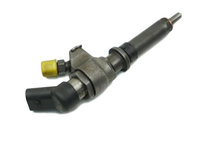 Injector Peugeot Partner 206 306 307 406 Berlingo C5 Xantia Xsara Vitara 2.0 HDI 9652173780 9636819380 198087