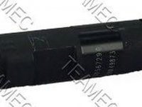 Injector, RENAULT CLIO II (BB0/1/2_, CB0/1/2_) an 2004 - prezent , producator TEAMEC 812028