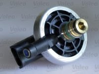 Injector RENAULT CLIO Mk II (BB0/1/2_, CB0/1/2_), RENAULT KANGOO Rapid (FC0/1_), RENAULT CLIO II caroserie (SB0/1/2_) - VALEO 348009