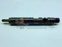 Injector Renault Kangoo 2 Maxi (F61) [Fabr 2008-2022] 166000897R 28237259 1.5 DCI K9K808