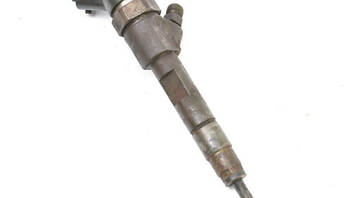 Injector Renault MEGANE 1 1995 - 2006 Motorina 0445110021, 7700111014