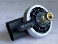 Injector RENAULT MEGANE Scenic JA0 1 VALEO 348010