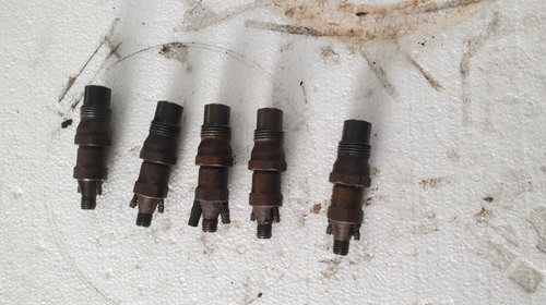 Injector Vw T4 AAB 2.4 d