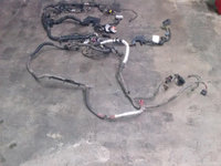 Instalatie electrica motor Land Rover Discovery 3 2.7 HSE an 2007.