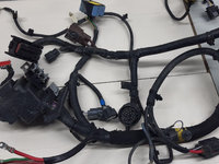 Instalatie Electrica Motor Land Rover Discovery Sport / Range Rover Evoque 2.2 Euro 5 Cod Motor 224DT